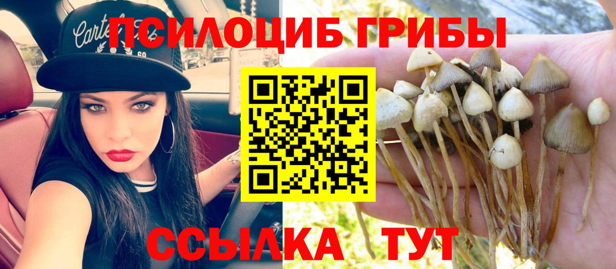 Галлюциногенные грибы мицелий  Галлюциногенные грибы Cubensis  Вход с VPN  Богородск 